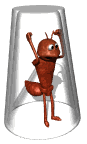 animated-gifs-ants-44.gif