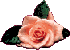 animated gifs Flowers