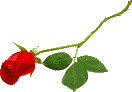 animated gifs Flowers