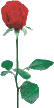 animated gifs Flowers