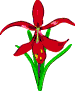 animated gifs Flowers