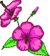 animated gifs Flowers