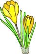 animated gifs Flowers