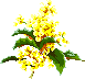 animated gifs Flowers