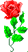 animated gifs Flowers