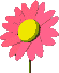 animated gifs Flowers