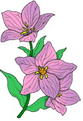 animated gifs Flowers