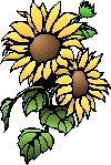 animated gifs Flowers