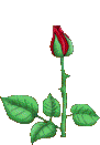 animated gifs Flowers