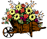 animated gifs Flowers